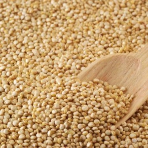 Quinoa Em Grãos